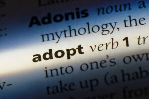 adopt word in a dictionary. adopt concept.